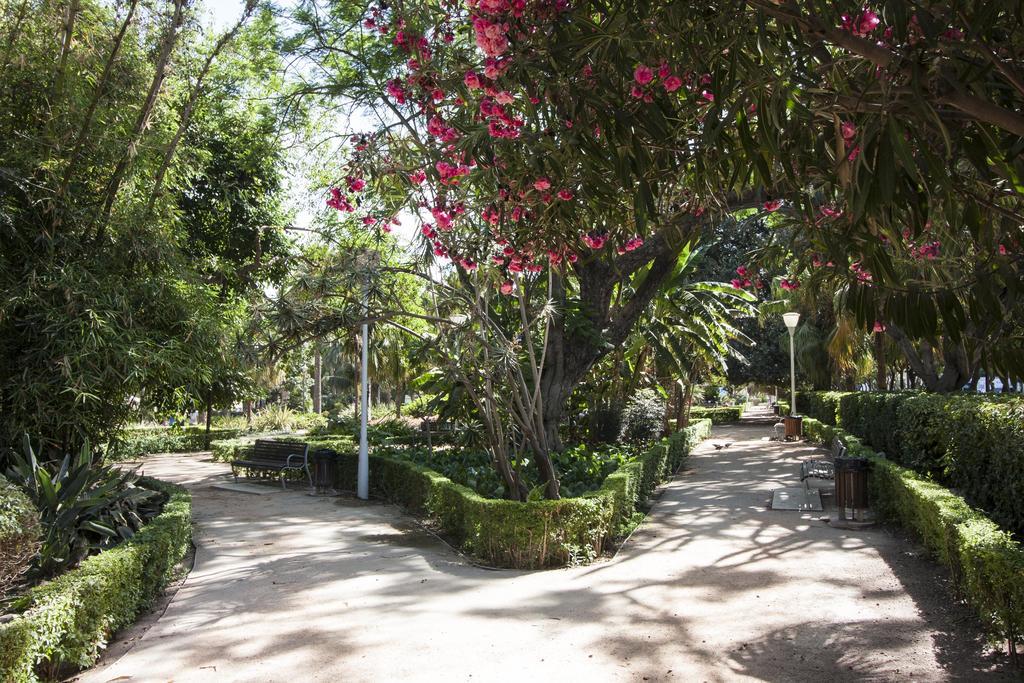 Cortina Apartments ! Málaga Eksteriør billede